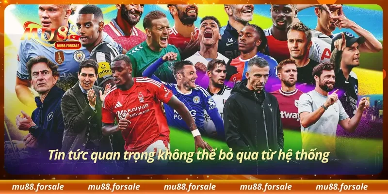 Tin tức quan trọng không thể bỏ qua từ hệ thống